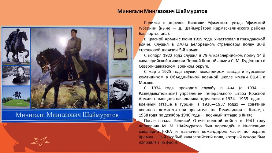 «Дивизия генерала Шаймуратова»